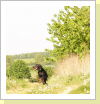 Klicken Sie auf das Bild, um es zu vergrößern