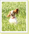 Klicken Sie auf das Bild, um es zu vergrößern